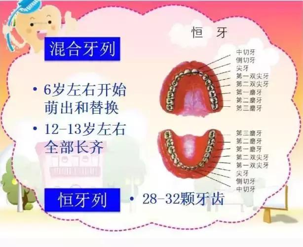 5岁乳牙龋齿需要治疗吗,5岁孩子乳牙有蛀牙怎么处理