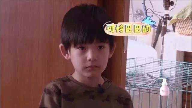 王诗龄晒奢侈品被吐槽,王诗龄奢侈