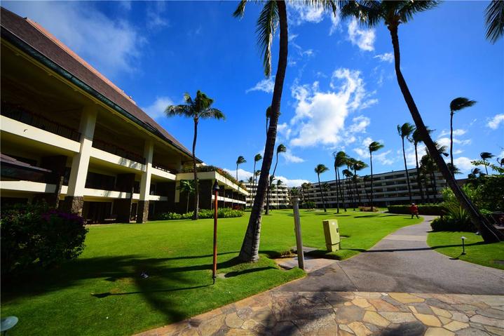 骨灰级探险视频,水上运动场夏威夷maui岛浮潜