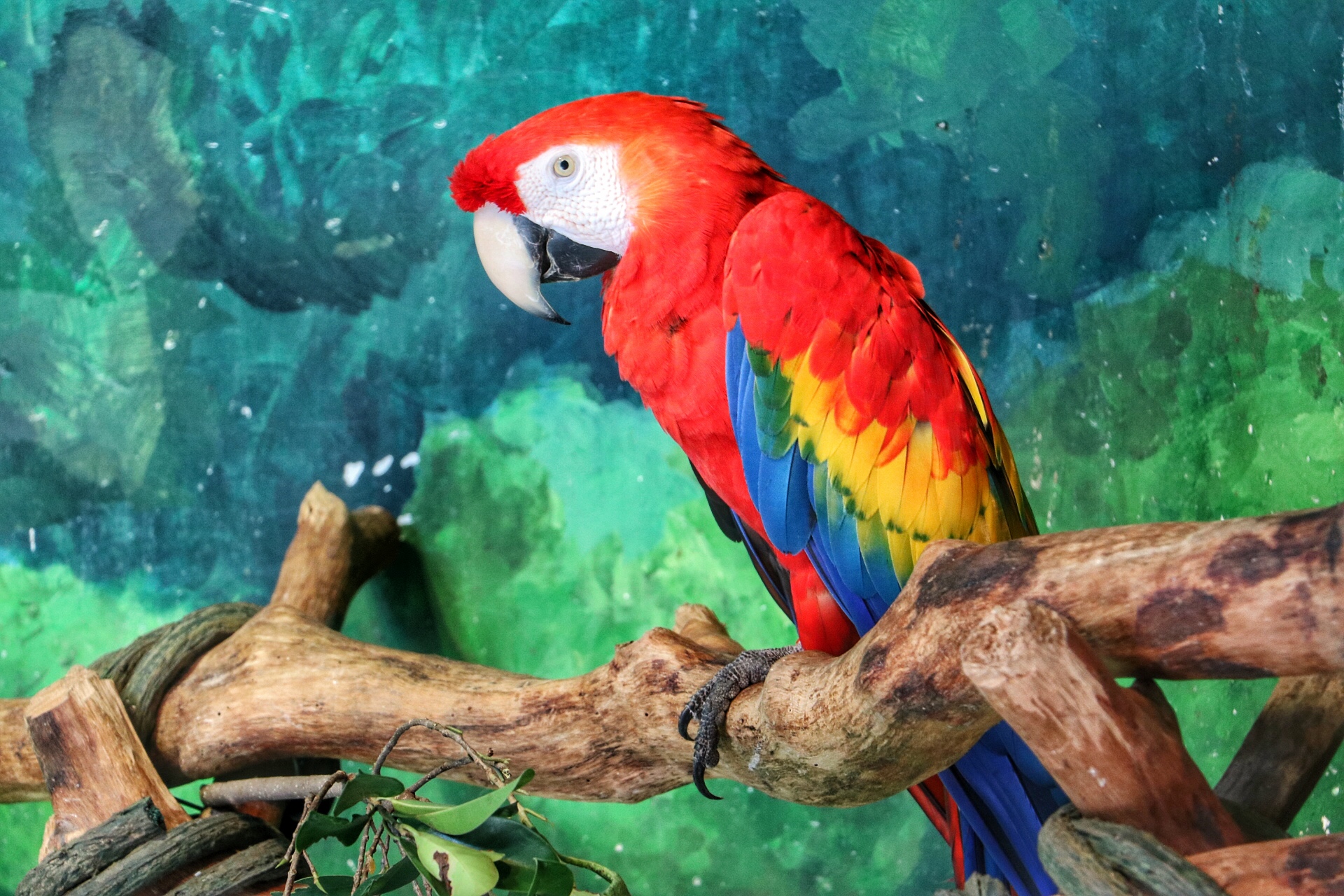 一月广州长隆野生动物园游玩攻略,长隆海洋王国不可错过