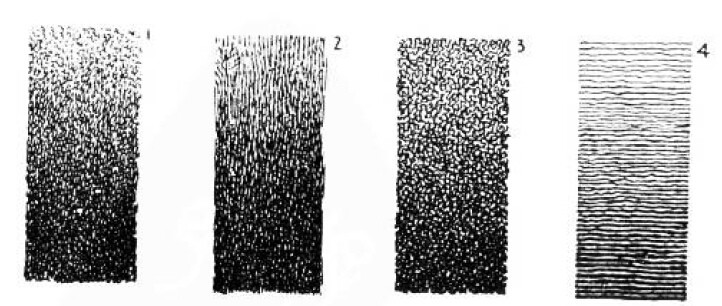绘画基础教程新手入门,绘画基础教程人物小狗