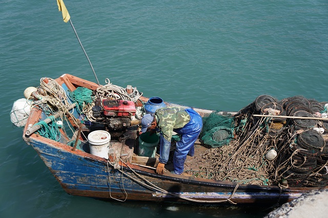 什么时间去枸杞岛最好,冬季坐船去枸杞岛