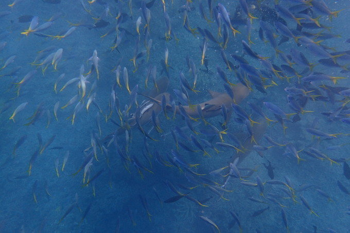 带着思念去海边,带着思念期待下一次再见