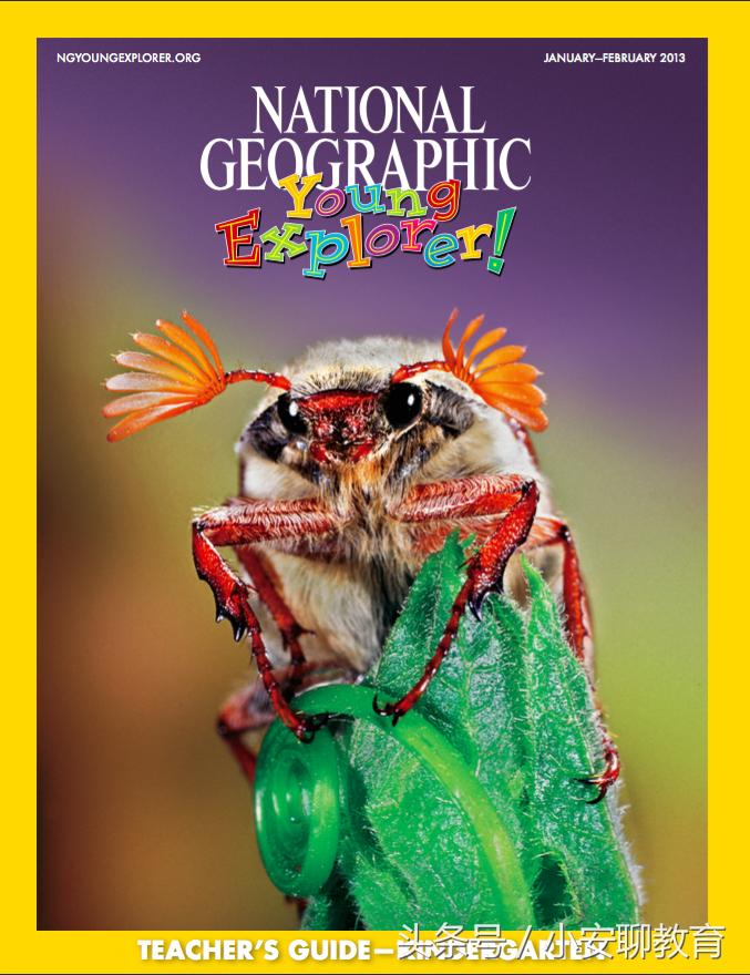 为什么英语这么难学就是听不懂啊,为什么我们学了英语却无法说出口