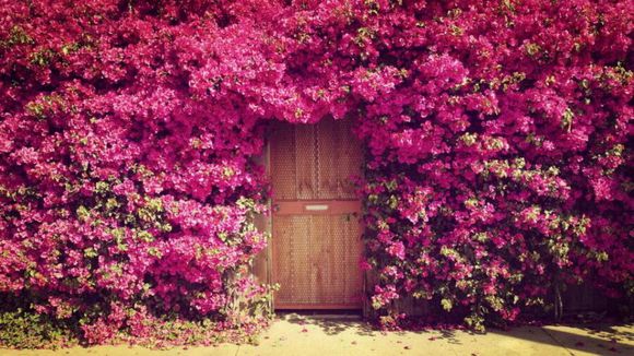 英文小诗100首系列一我有故事你有酒吗?