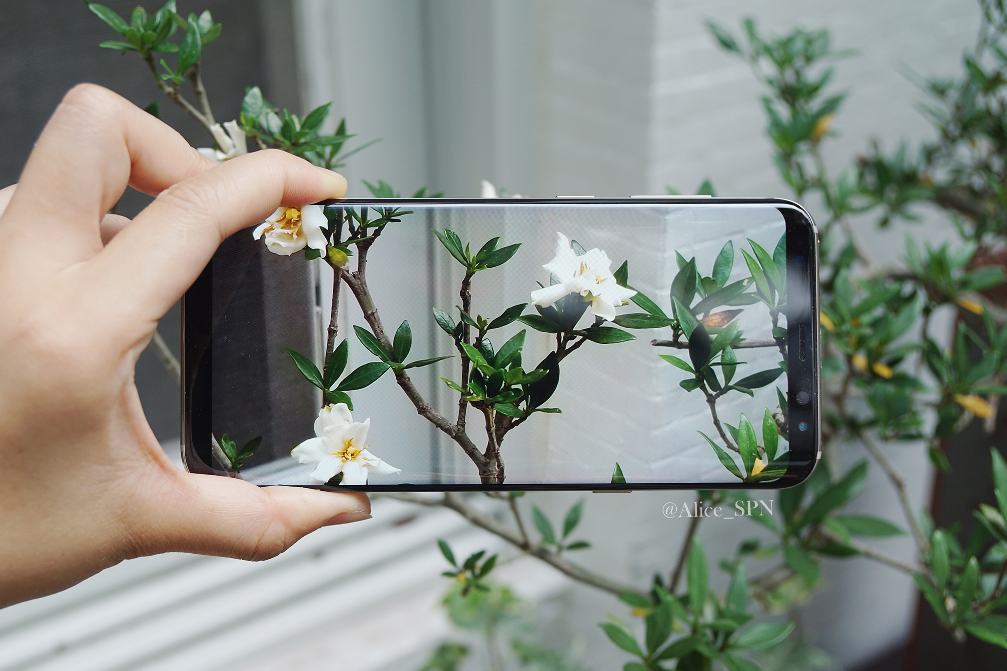 三星s8+测评官方,三星s8国行和港版有区别吗