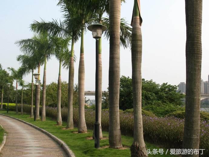 法兰克福机场攻略,欧洲旅游攻略法兰克福