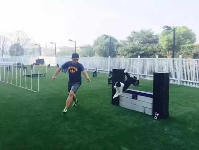 活得不如狗系列之，宠物酒店！