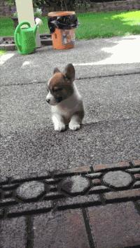 给对象织围脖寓意着分手吗,织围巾送男朋友代表啥