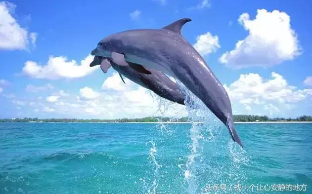 怎样玩遍毛里求斯,到了毛里求斯要怎么玩