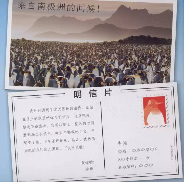 科普绘本推荐7-12岁科普绘本,科普绘本不应该有这么多低级错误