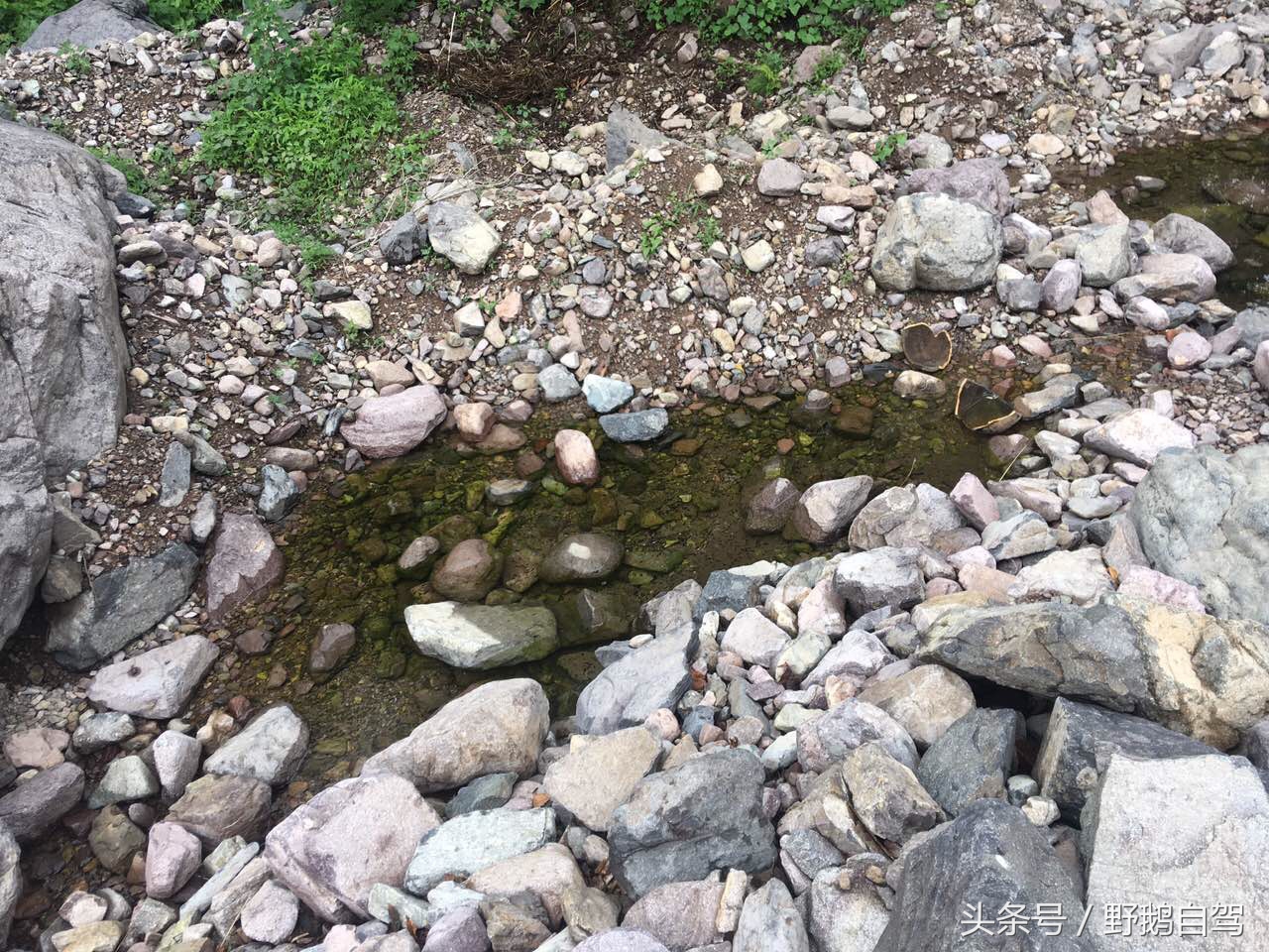 野鹅自驾：一个小泉眼，却养活了整个村子，冒出的气泡酷似珍珠！