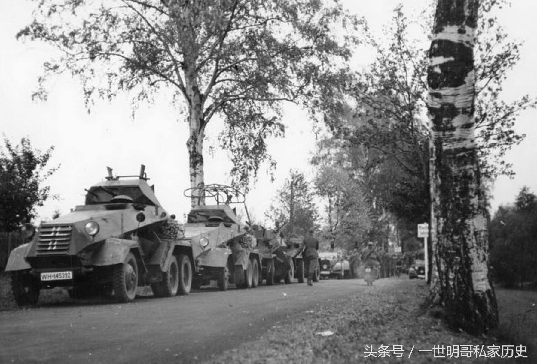 与狼共舞越战越勇,与狼共舞德国完整版电影