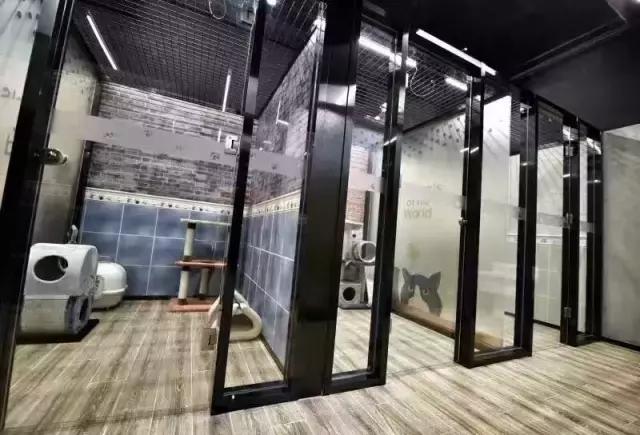 活得不如狗系列之，宠物酒店！