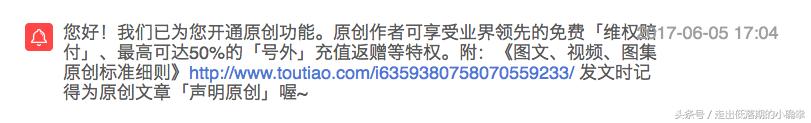 自媒体优质公众号,自媒体新人必备公众号