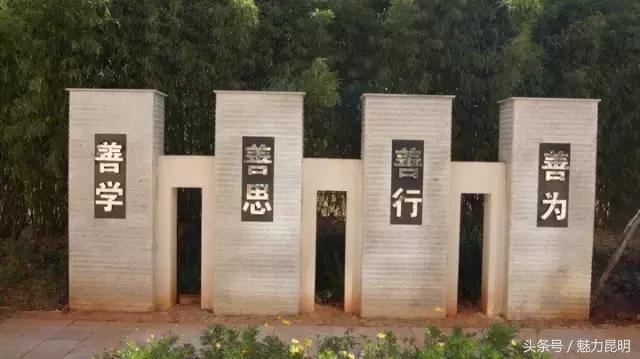 昆十四中老照片,昆十四中