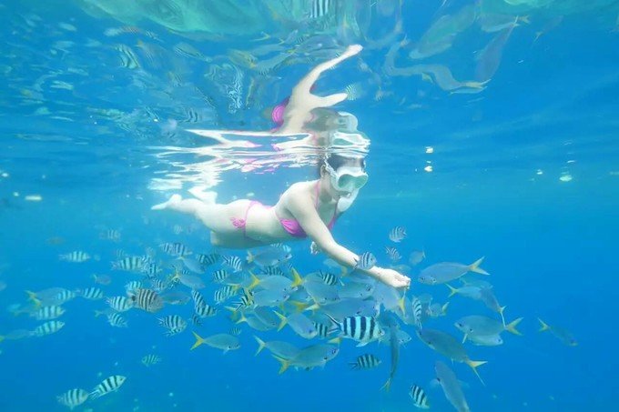 带着思念去海边,带着思念期待下一次再见