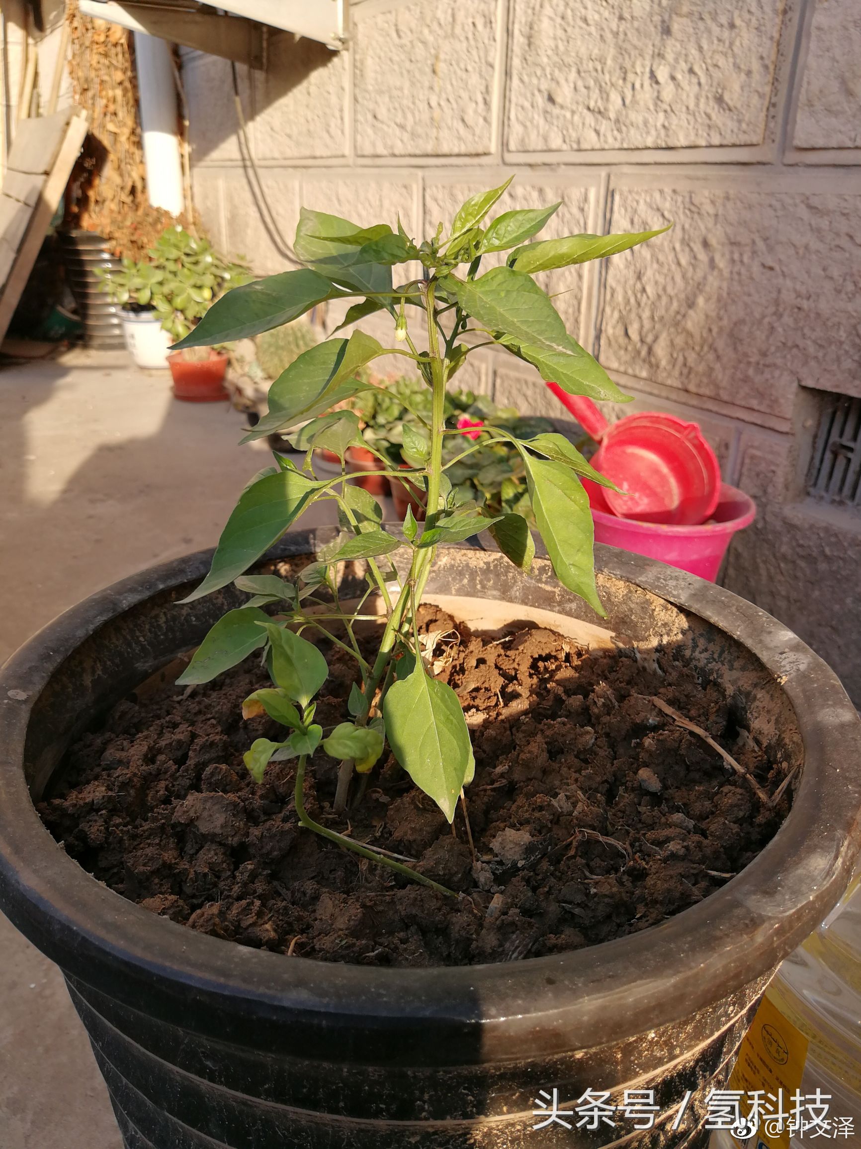 华为p10和苹果7p,华为p10vs苹果x流畅度