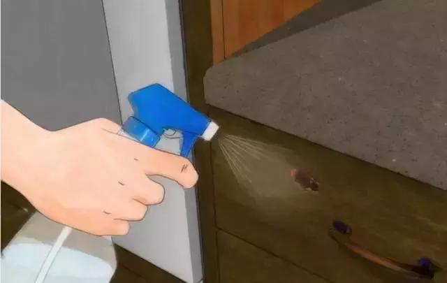 小苏打灭蟑螂最快方法,灭蟑螂最有效方法