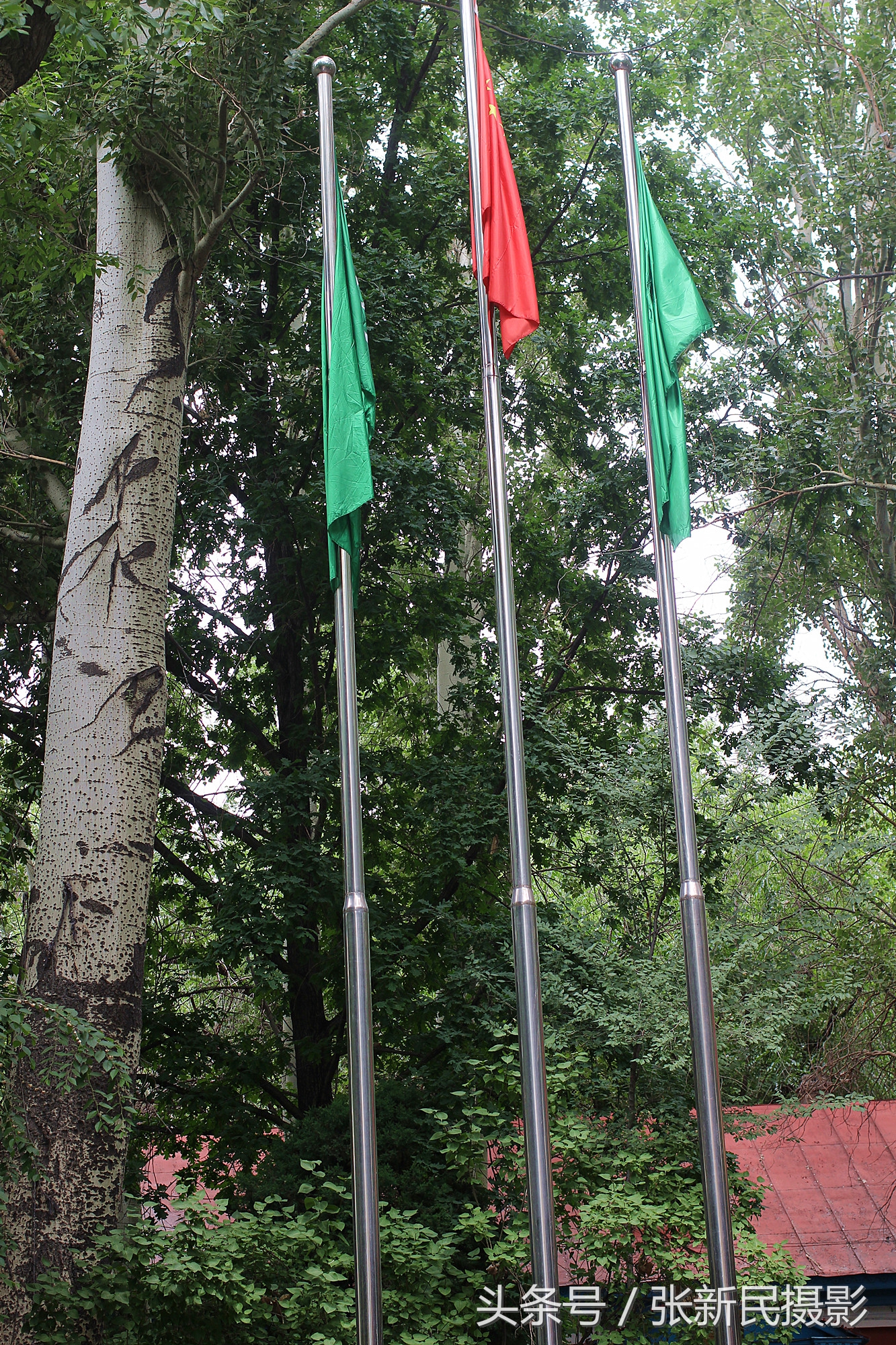 百年俄罗斯建筑保存完好白杨茂盛