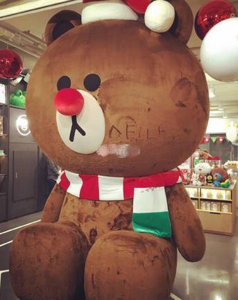 喜欢布朗熊可妮兔的你快看过来！