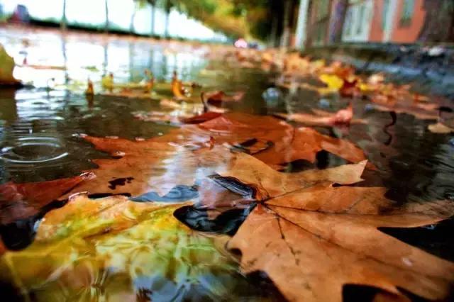 中国航天五零四所介绍,中国航天五零四研究所