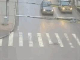 车祸动态图集锦（3）之死里逃生