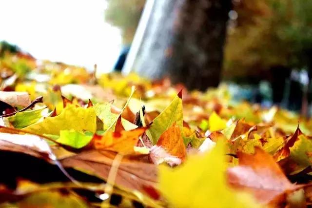 中国航天五零四所介绍,中国航天五零四研究所