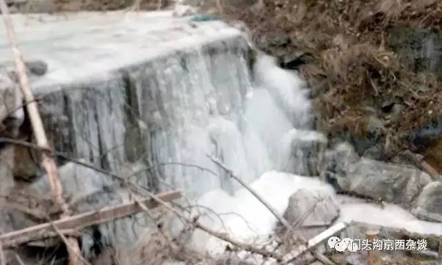 不服不行想办法,不服不行乐视