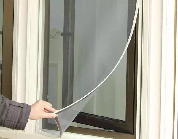 怎么对付蟑螂和蚊子和蚂蚁,家里有蟑螂蚂蚁蚊子老鼠一招消灭