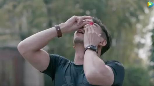 鎺ㄨ崘缁欑埍璞嗙殑濂界墿,绉嶈崏鐖辫眴鍚屾濂界墿