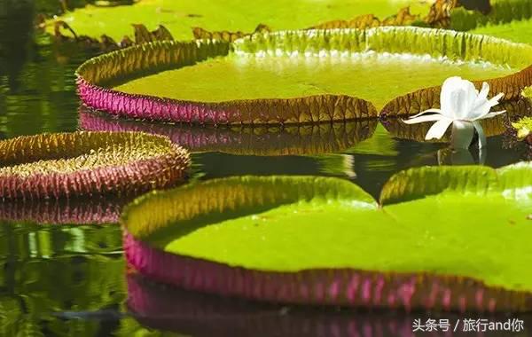 世界最适合举行婚礼的海岛,世界第一海岛婚礼