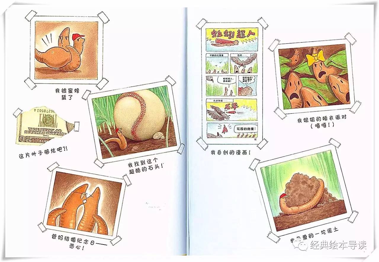 蚯蚓的日记主题感悟,蚯蚓的日记想象作文