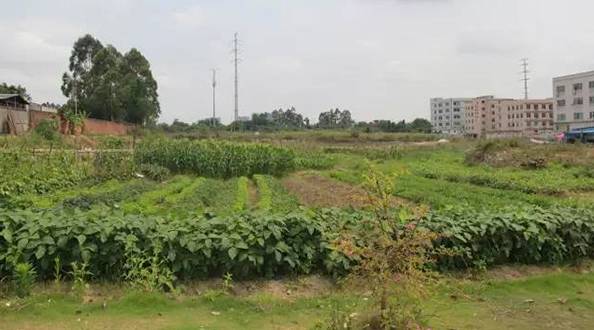 广州增城新增12.7亿出让地块,近60亿元增城3宗宅地出让曝光