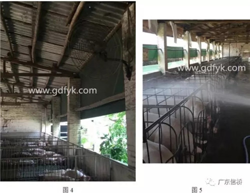 中暑造成死亡原因,中暑的表现和怀孕初期症状