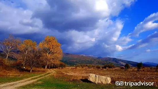 六月不热海边旅游推荐,夏季炎热适合去哪里旅游