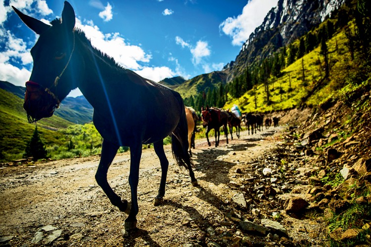 丙察察风景摄影,丙察察摄影