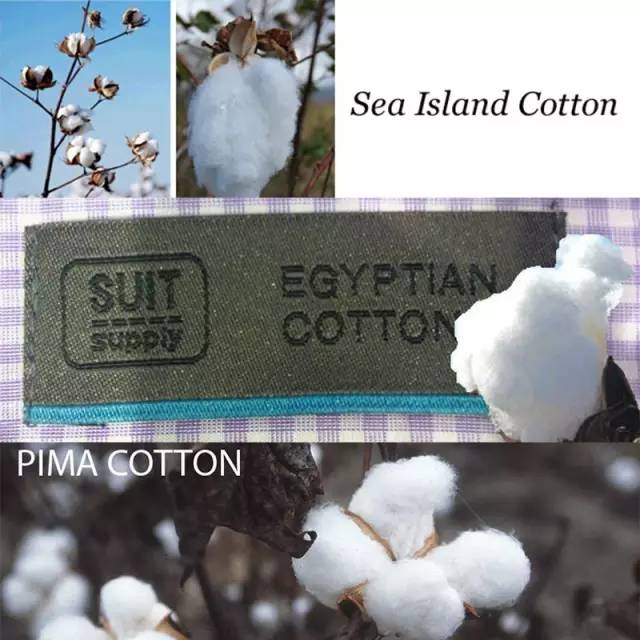 衬衫选对了,上班被老板夸,下班被女友赞