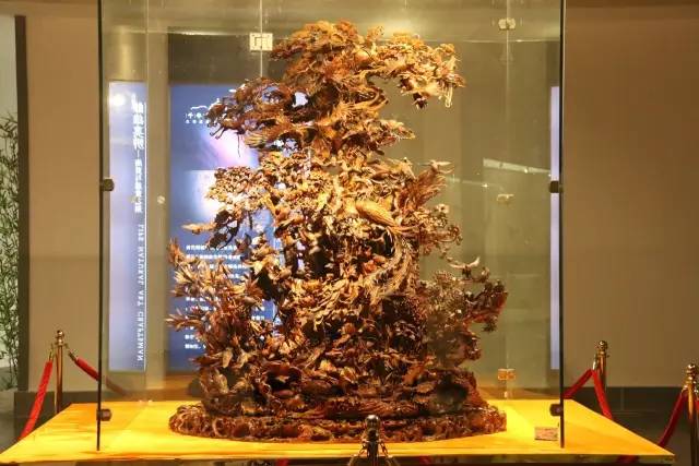 中山旅游最新攻略,中山最新旅行攻略