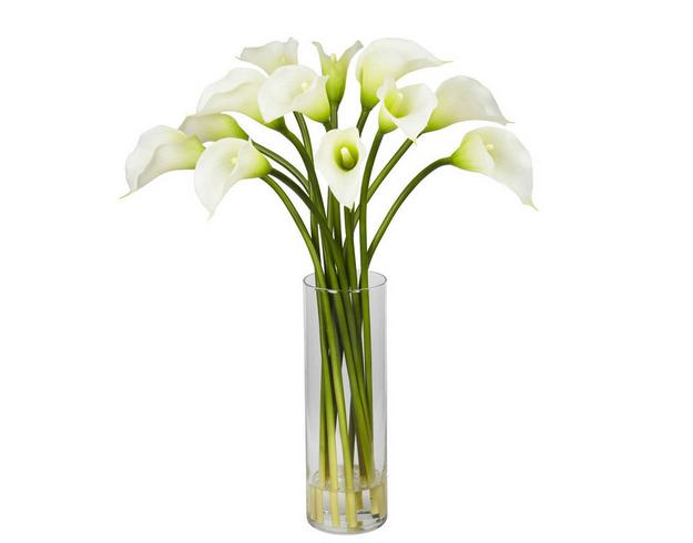 马蹄莲埃塞俄比亚国花,马蹄莲还是埃塞俄比亚的国花