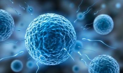 怀孕三周最明显的征兆,怀孕第3个月妊娠反应