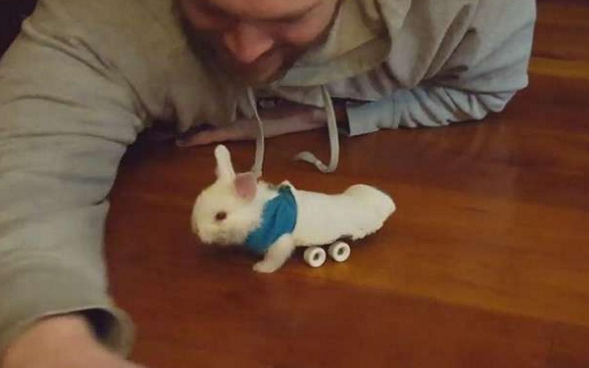 他救了这只小兔子时发现它下身已瘫痪,苦思之下想出一个绝妙方法