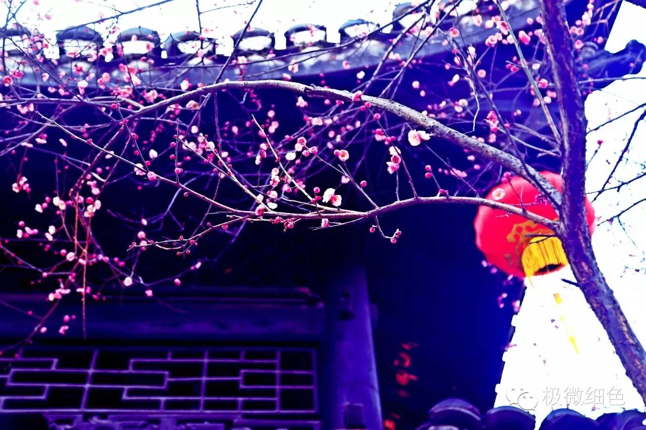 涔惧煄婀樿タ,婀樿タ涔惧煄鍙ゅ煄