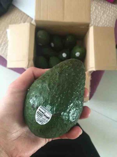 孕期要补充哪些营养品,孕期营养如何补充快来get