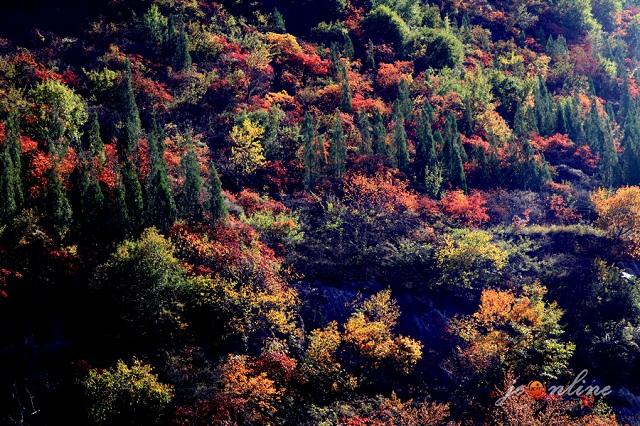 山西蟒河一游,蟒河好风光