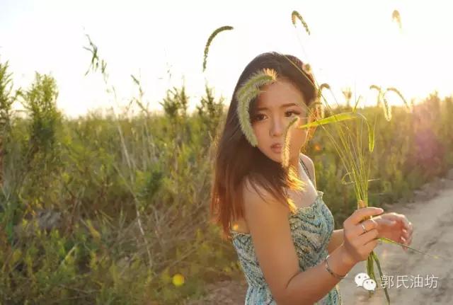 致富经种植药材视频贵州,致富经种地视频