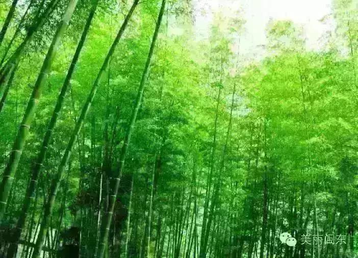 包吃住宁德农家乐地址,宁德古田翠屏湖农家乐