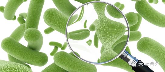 抗生素相关性腹泻有什么危害,抗生素相关腹泻属于院内感染吗