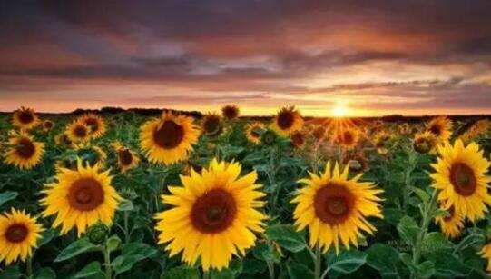 对不起，我要去上海新东方，别再找我了！