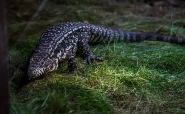 河北带孩子去最好玩的游乐场,河北最大的儿童室内游乐场